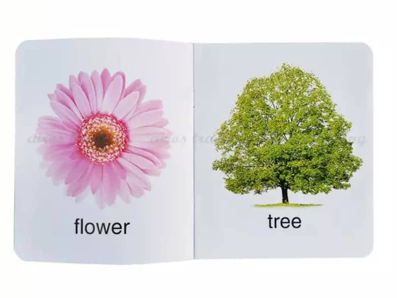 My first book